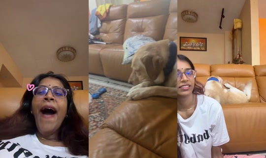 mishuu21__ TikTok Live — Sep 8, 2026, 3:30 AM