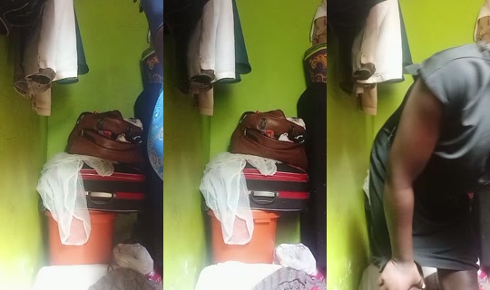 miss.love.foreverrose TikTok Live — Aug 11, 2026, 7:56 AM