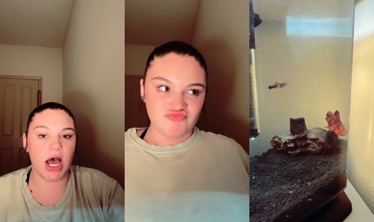 miss.zadie TikTok Live — Aug 31, 2026, 4:22 AM
