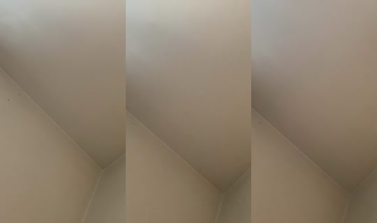 misshoney8888 TikTok Live — Jul 13, 2026, 10:36 PM