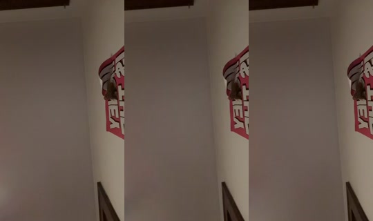 misshoney8888 TikTok Live — Jul 14, 2026, 2:43 AM