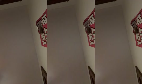 misshoney8888 TikTok Live — Jul 14, 2026, 3:37 AM