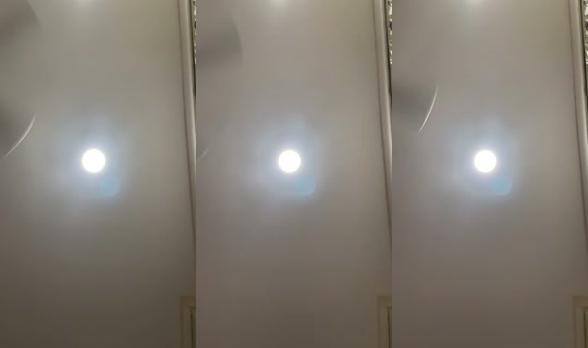 misshoney8888 TikTok Live — Aug 23, 2026, 3:17 AM