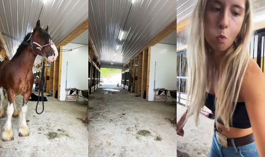 missstallgirl TikTok Live — Aug 25, 2026, 3:56 PM
