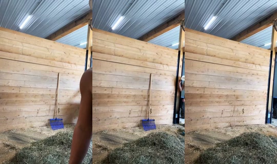 missstallgirl TikTok Live — Aug 26, 2026, 3:36 PM