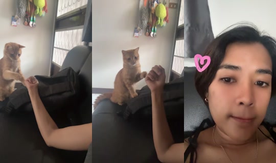 misswadee TikTok Live — Jul 15, 2026, 1:42 AM