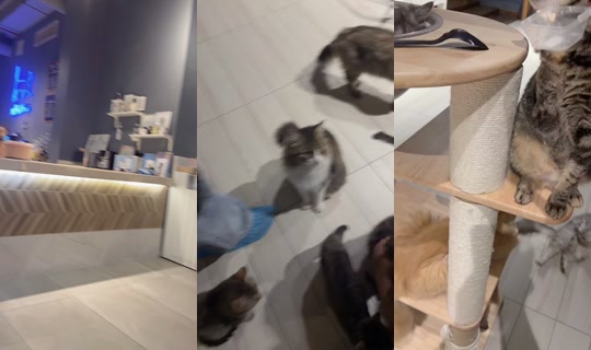 moly.a900 TikTok Live — Aug 30, 2026, 4:34 PM
