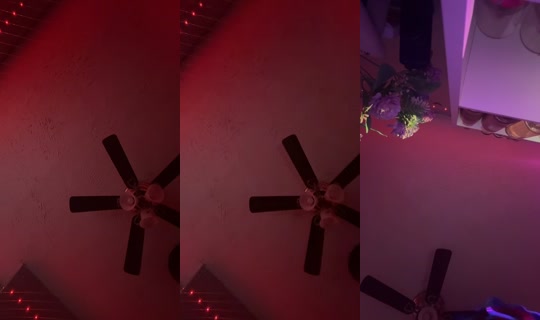 mommyyamm_ TikTok Live — Aug 16, 2026, 5:09 PM