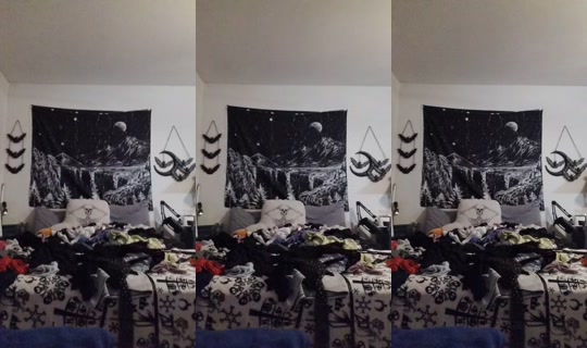 morbidbunnyproductions TikTok Live — Aug 22, 2026, 6:06 AM