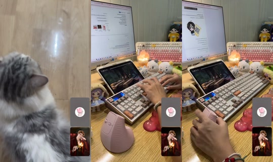 morningtwilight2556 TikTok Live — Jul 14, 2026, 8:00 AM