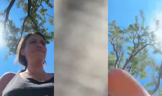 mschrxs TikTok Live — Jul 14, 2026, 9:29 PM
