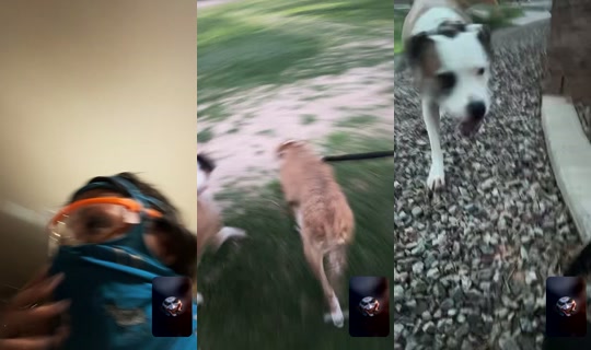 mschrxs TikTok Live — Jul 16, 2026, 2:33 AM