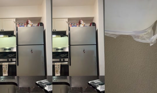 msnellegotti304 TikTok Live — Aug 21, 2026, 7:45 PM