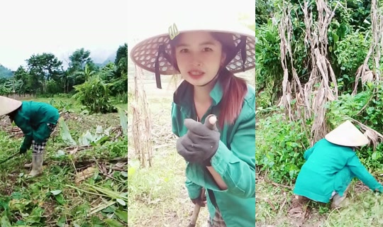 muitrieu47 TikTok Live — Jul 31, 2026, 11:24 PM
