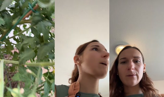 mum_of_two_baby TikTok Live — Jul 30, 2026, 7:09 AM