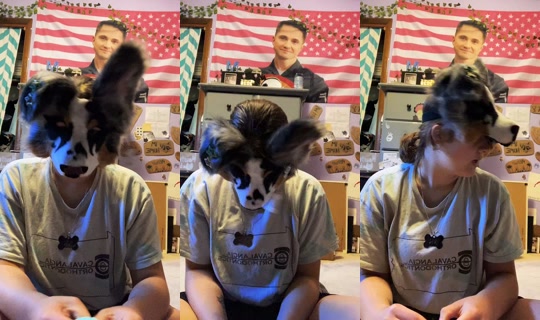 mysharksons_3 TikTok Live — Sep 14, 2026, 10:09 PM