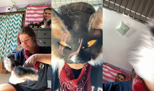 mysharksons_3 TikTok Live — Sep 15, 2026, 2:41 PM