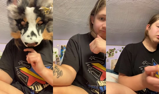 mysharksons_3 TikTok Live — Sep 16, 2026, 11:13 PM