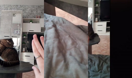 nadseisn TikTok Live — Aug 11, 2026, 2:33 AM