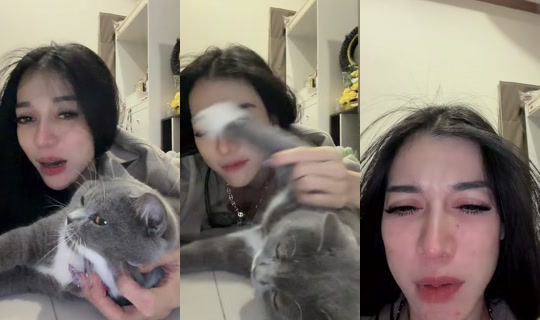 natty800cc TikTok Live — Aug 8, 2026, 11:37 AM