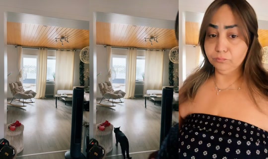 nfaygdoio TikTok Live — Aug 22, 2026, 8:47 AM
