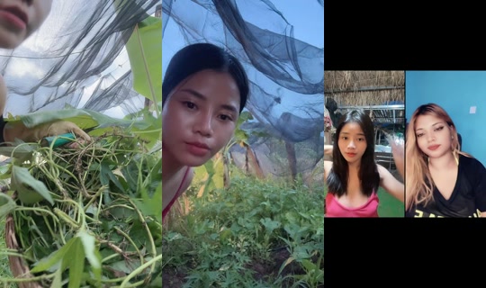 nhuylee.2000 TikTok Live — Aug 1, 2026, 11:06 AM