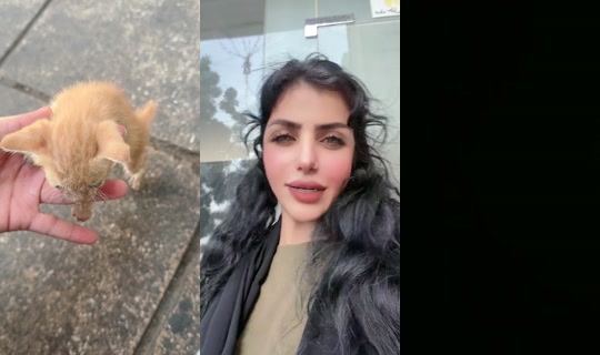 noonis33 TikTok Live — Jul 14, 2026, 2:19 PM