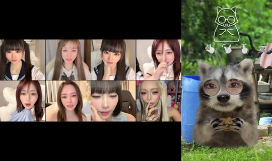 notechan3 TikTok Live — Aug 3, 2026, 5:03 PM