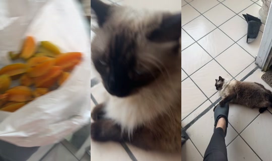 noteinterezaaa TikTok Live — Jul 25, 2026, 9:25 PM