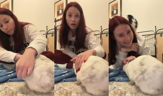 notpolishprincess TikTok Live — Aug 29, 2026, 3:20 AM