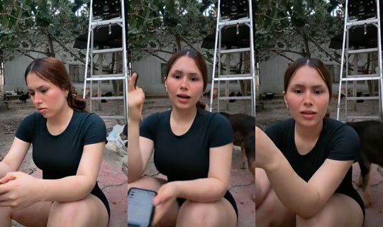 noxeli.814 TikTok Live — Sep 11, 2026, 11:03 PM