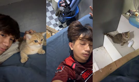 nrmalyn TikTok Live — Sep 15, 2026, 9:16 AM