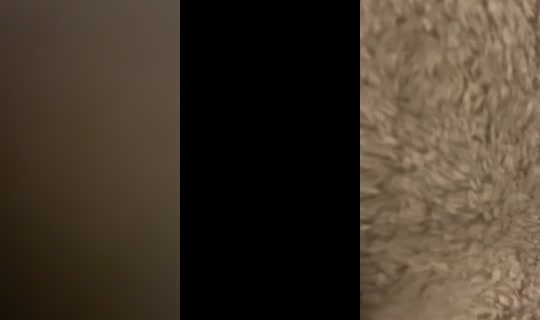 oh_smokey1 TikTok Live — Aug 31, 2026, 7:10 AM