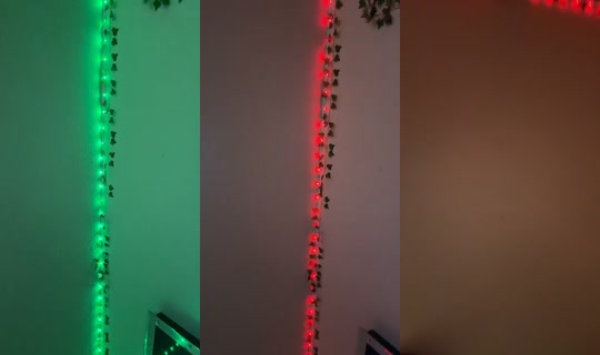ohbuni4 TikTok Live — Aug 9, 2026, 6:59 AM