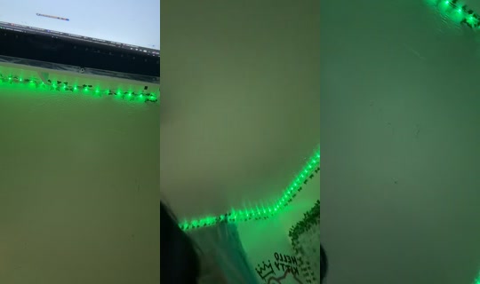 ohbuni4 TikTok Live — Aug 9, 2026, 8:11 AM