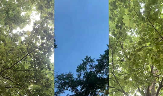 onlyy.trin TikTok Live — Jul 14, 2026, 11:39 PM