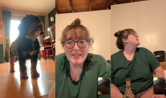 oopitssillygoose TikTok Live — Aug 12, 2026, 10:59 PM
