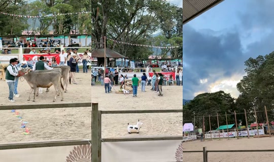 oxarima_tours Recorded on Aug 29, 2026, 9:39 PM