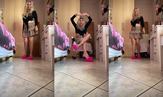 paolatarantino4 TikTok Live — Sep 12, 2026, 8:13 AM