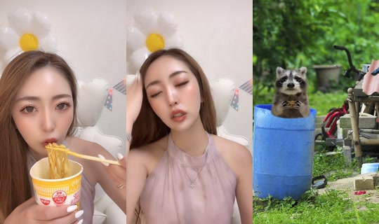 pepe.pepechan TikTok Live — Jul 14, 2026, 5:24 PM