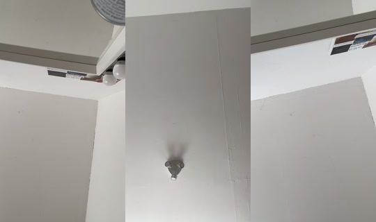 philicia.77 TikTok Live — Aug 22, 2026, 10:12 AM