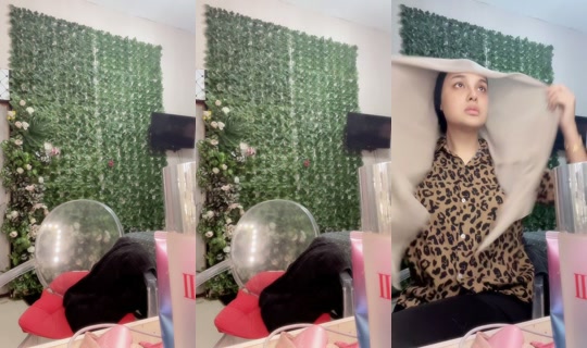 putrimihara TikTok Live — Aug 3, 2026, 11:59 PM