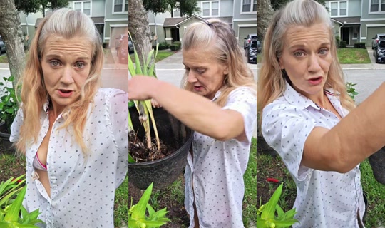 queenkay.sparklee TikTok Live — Aug 13, 2026, 11:24 PM