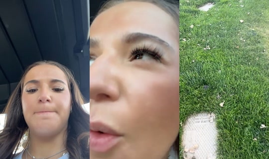 realmangoswrld TikTok Live — Sep 6, 2026, 12:39 AM