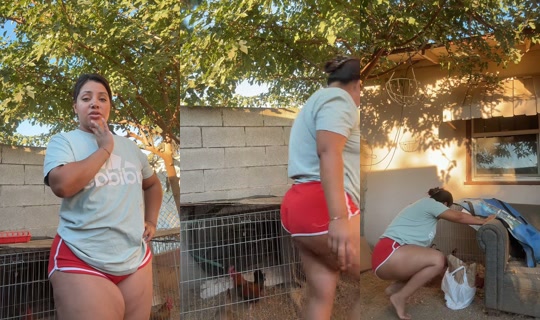 reina559baddie TikTok Live — Jul 10, 2026, 2:36 AM