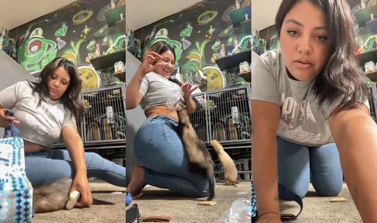 reina559baddie TikTok Live — Sep 2, 2026, 4:26 AM