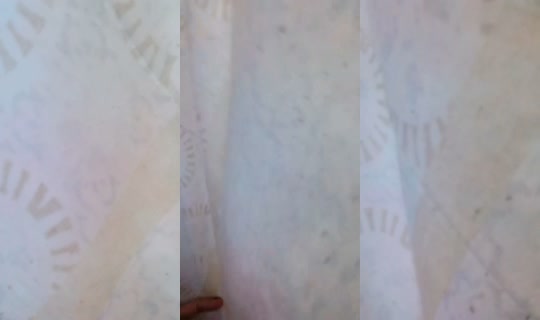 reonoficial TikTok Live — Jul 14, 2026, 9:28 PM