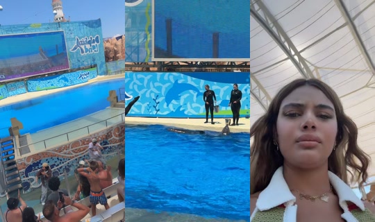 rivaaabahuu TikTok Live — Jul 11, 2026, 11:11 AM