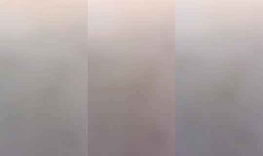 roroalsham581 TikTok Live — Jul 14, 2026, 7:05 AM