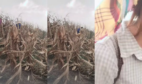 ruby.888l TikTok Live — Jul 14, 2026, 2:07 AM